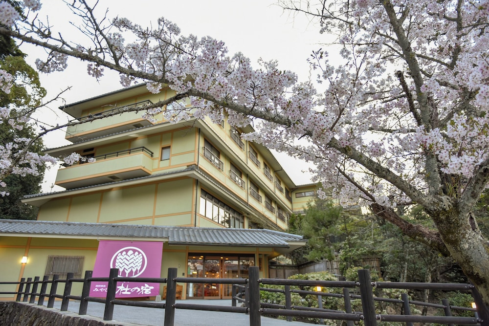 MIYAJIMA MORINOYADO 3/50