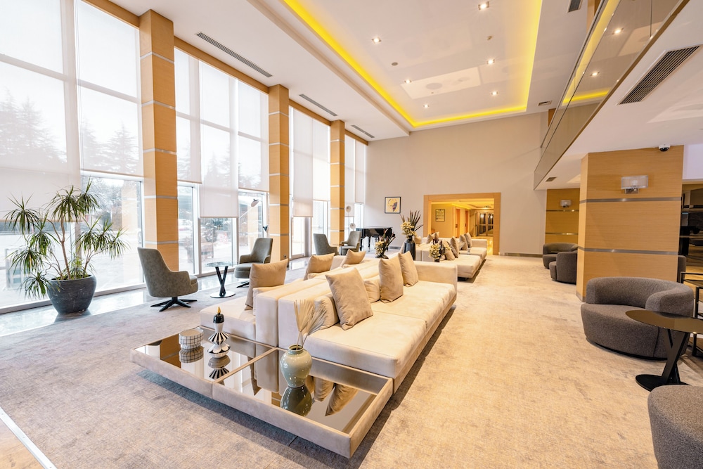 Bilkent Hotel And Conference Center Ankara 46/63