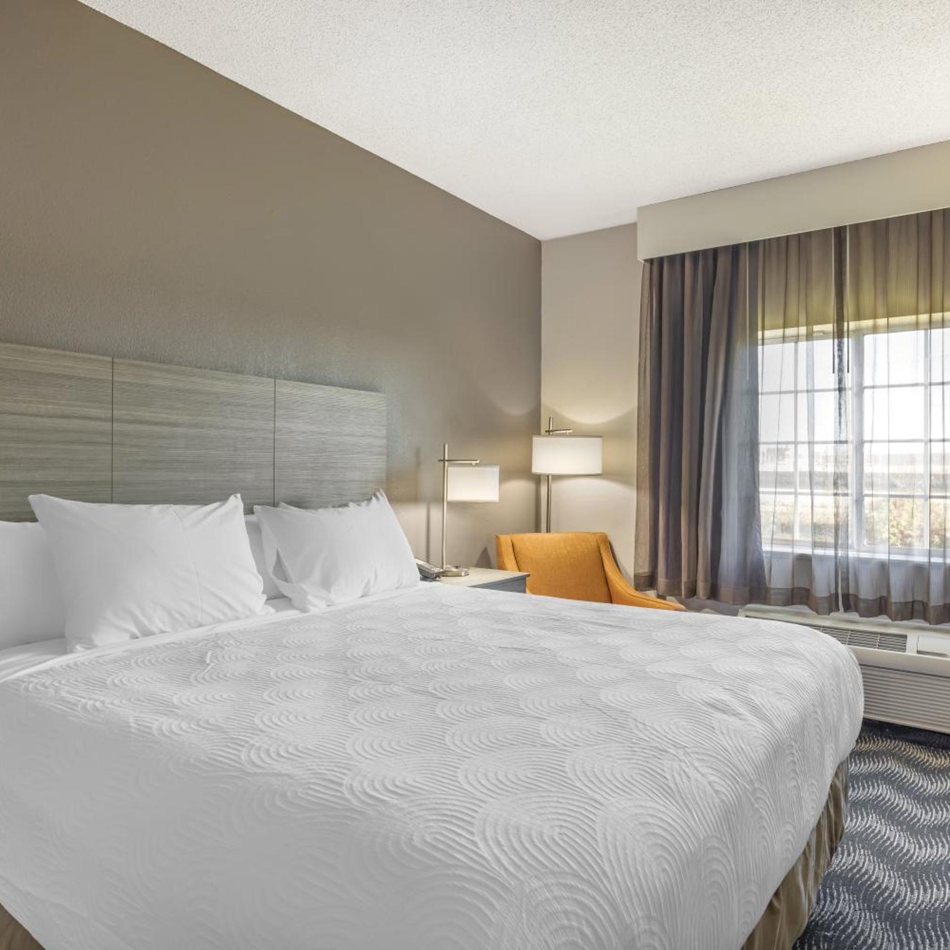 Room, King Bed