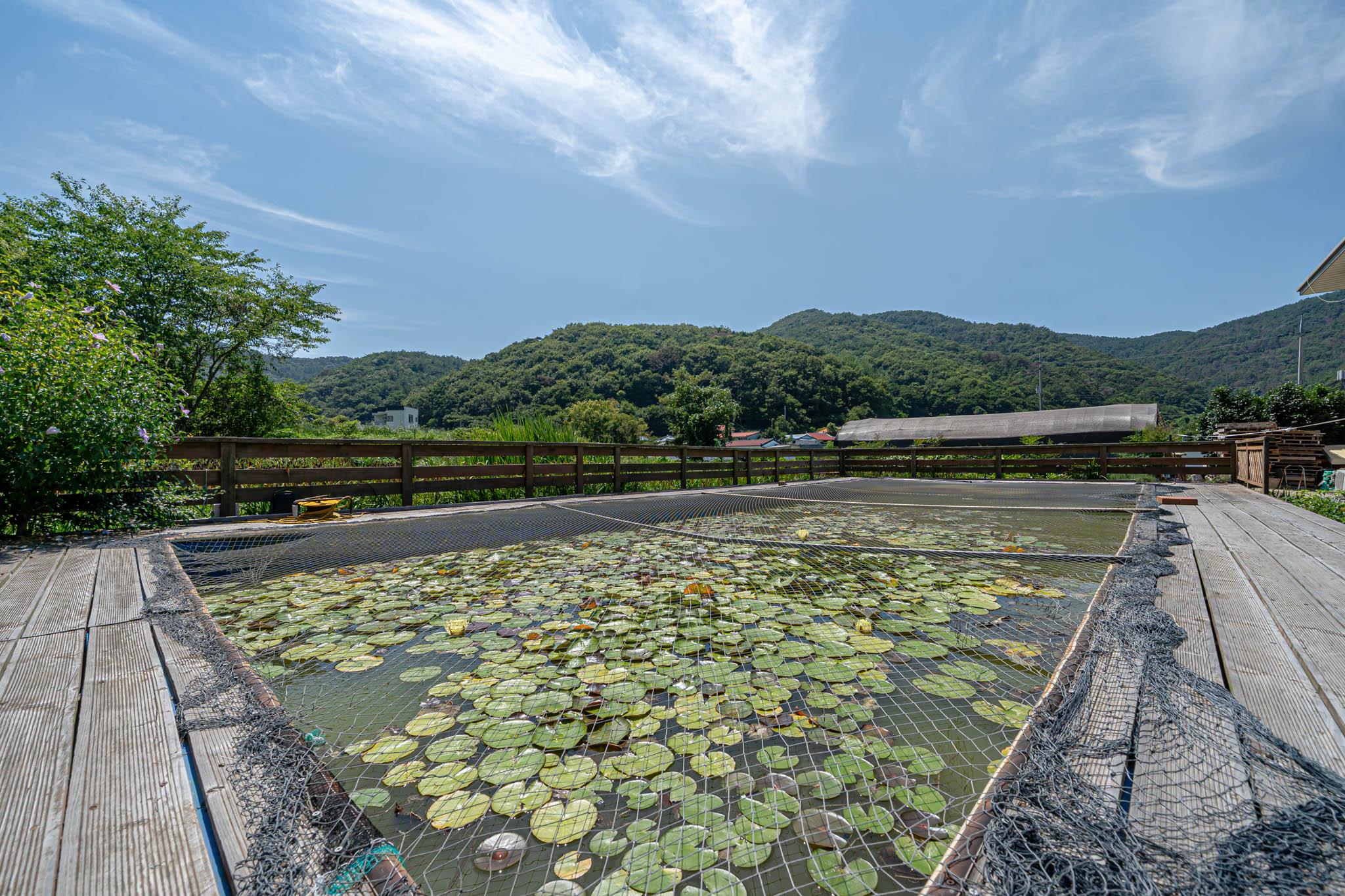 Garden Pension in Tasha, Tongyeong 9/29