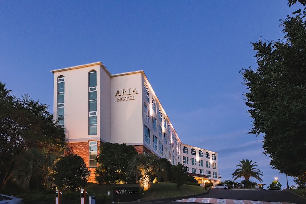 阿丽雅酒店(Aria Hotel) 图片1