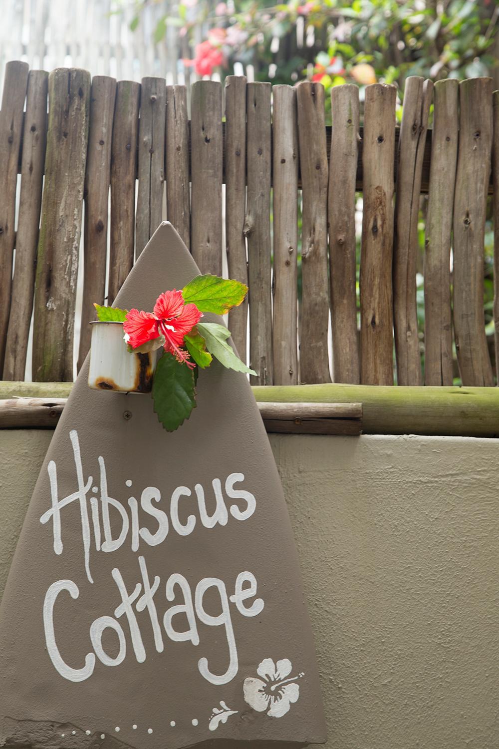 Ansteys Beach 14/50