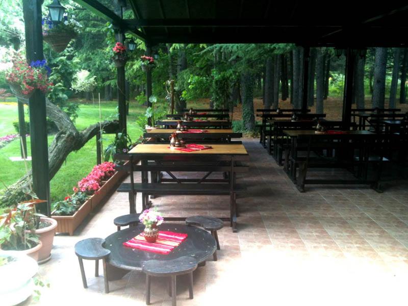 Hotel Dunav- All Inclusive 26/50