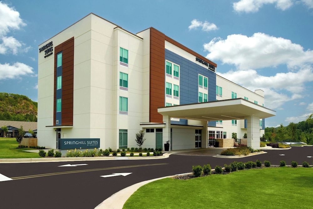 Springhill Suites By Marriott Ellijay 1/21