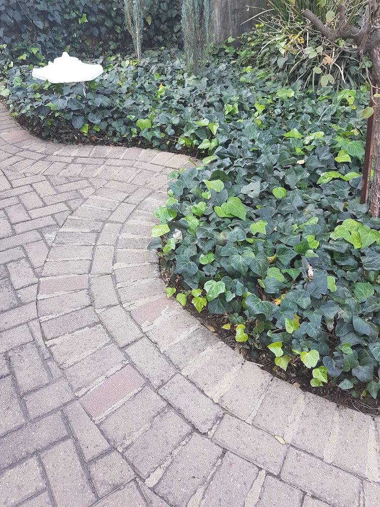 Blue Sparrow Guest House 13/29
