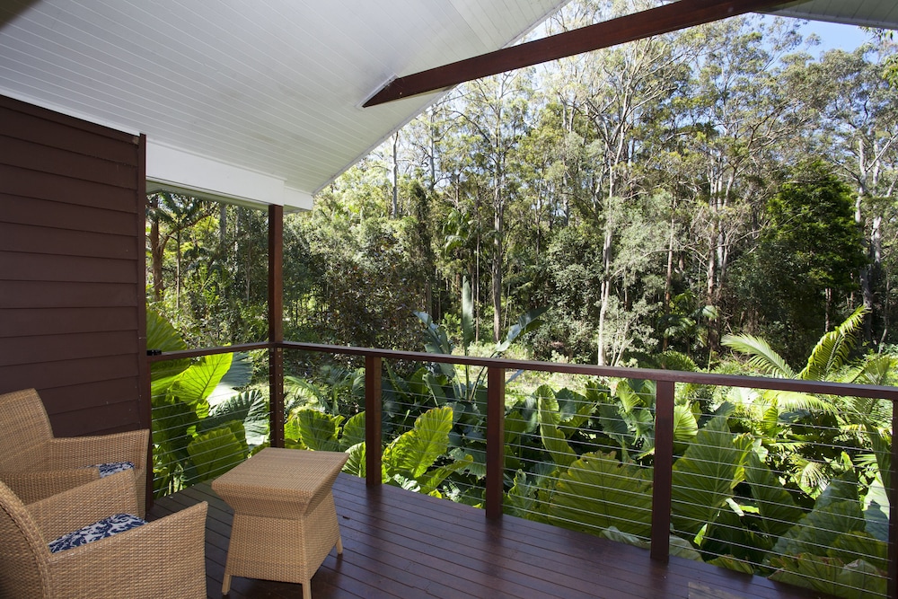 Songbirds Rainforest Retreat 44/50