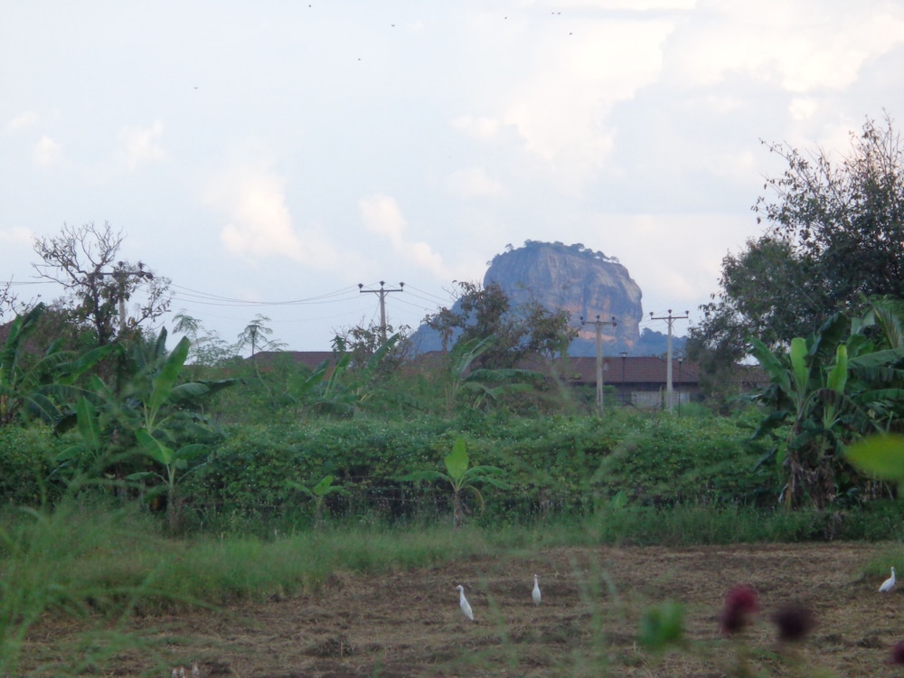 Sigiriya Vista 7/8