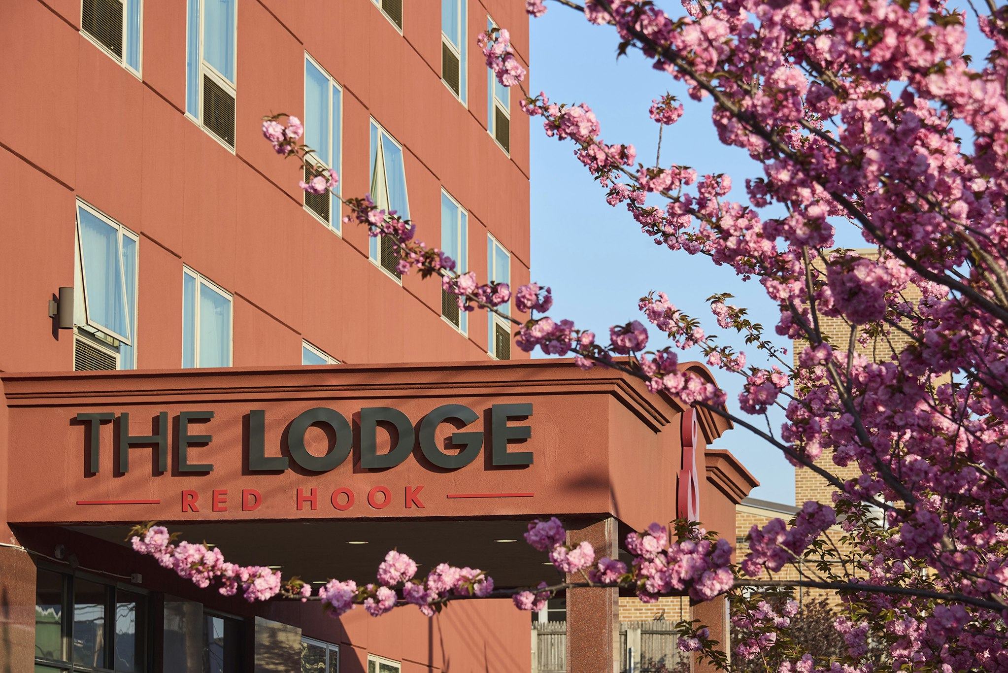 The Lodge Red Hook 3/50