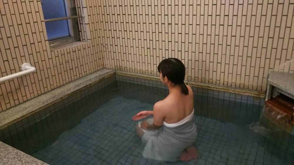 Hakodate Park Hotel 18/33
