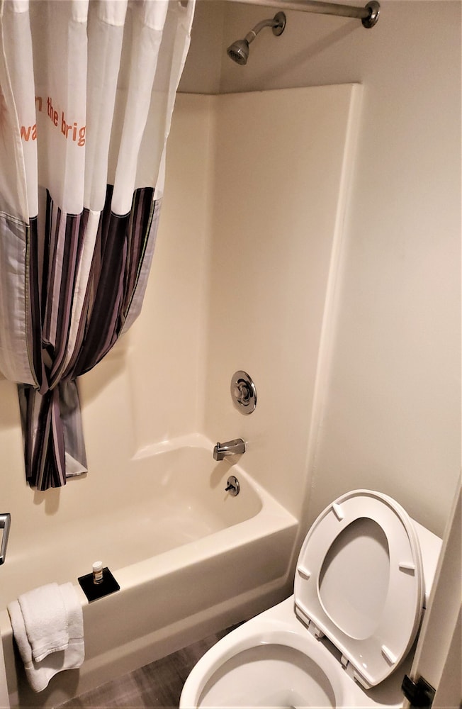 La Quinta Inn by Wyndham Tampa Near Busch Gardens 49/66