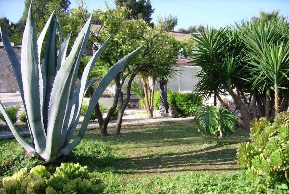 surroundings