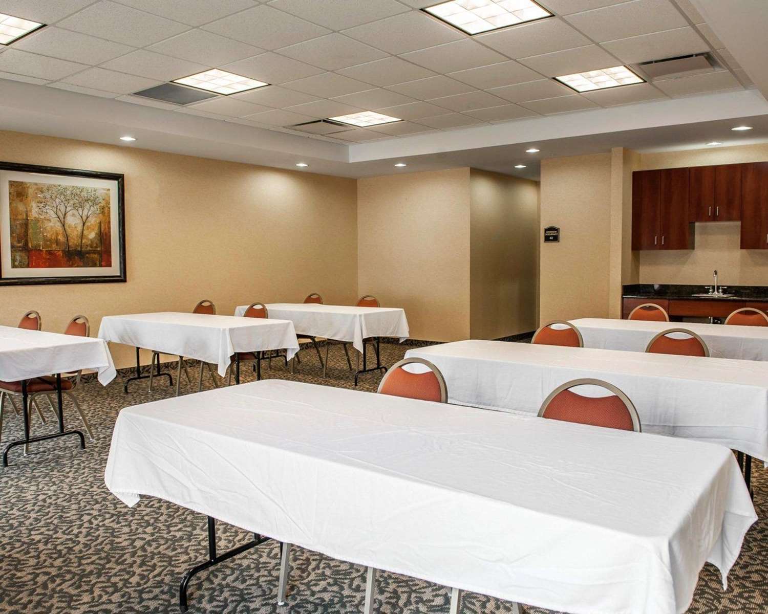 Comfort Suites near Indianapolis Airport 41/51