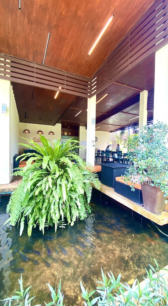 Kuapa Resort photo5