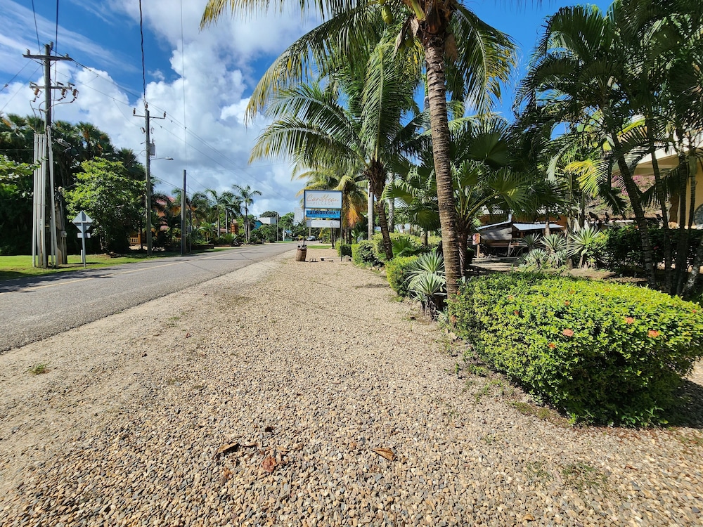 Caribbean Shores Bed & Breakfast 39/50