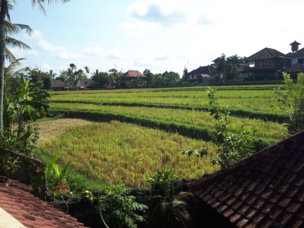 Cendana Resort Spa 64/70