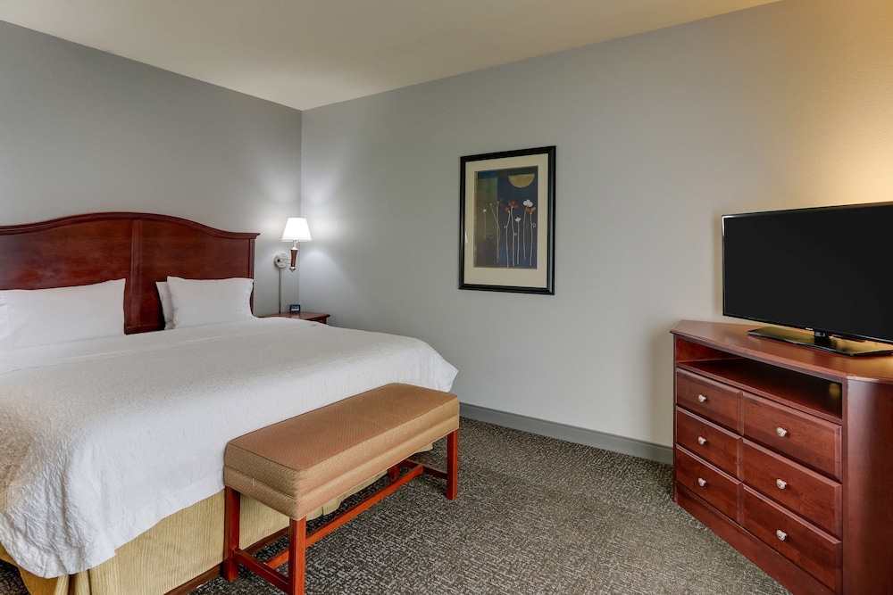 Hampton Inn Suites Indianapolis Airport 16/39