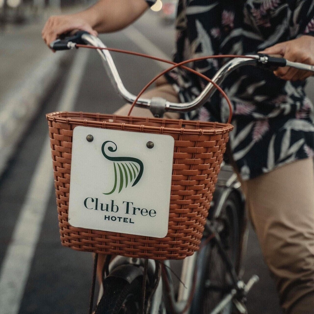 Club Tree Hotel 41/74