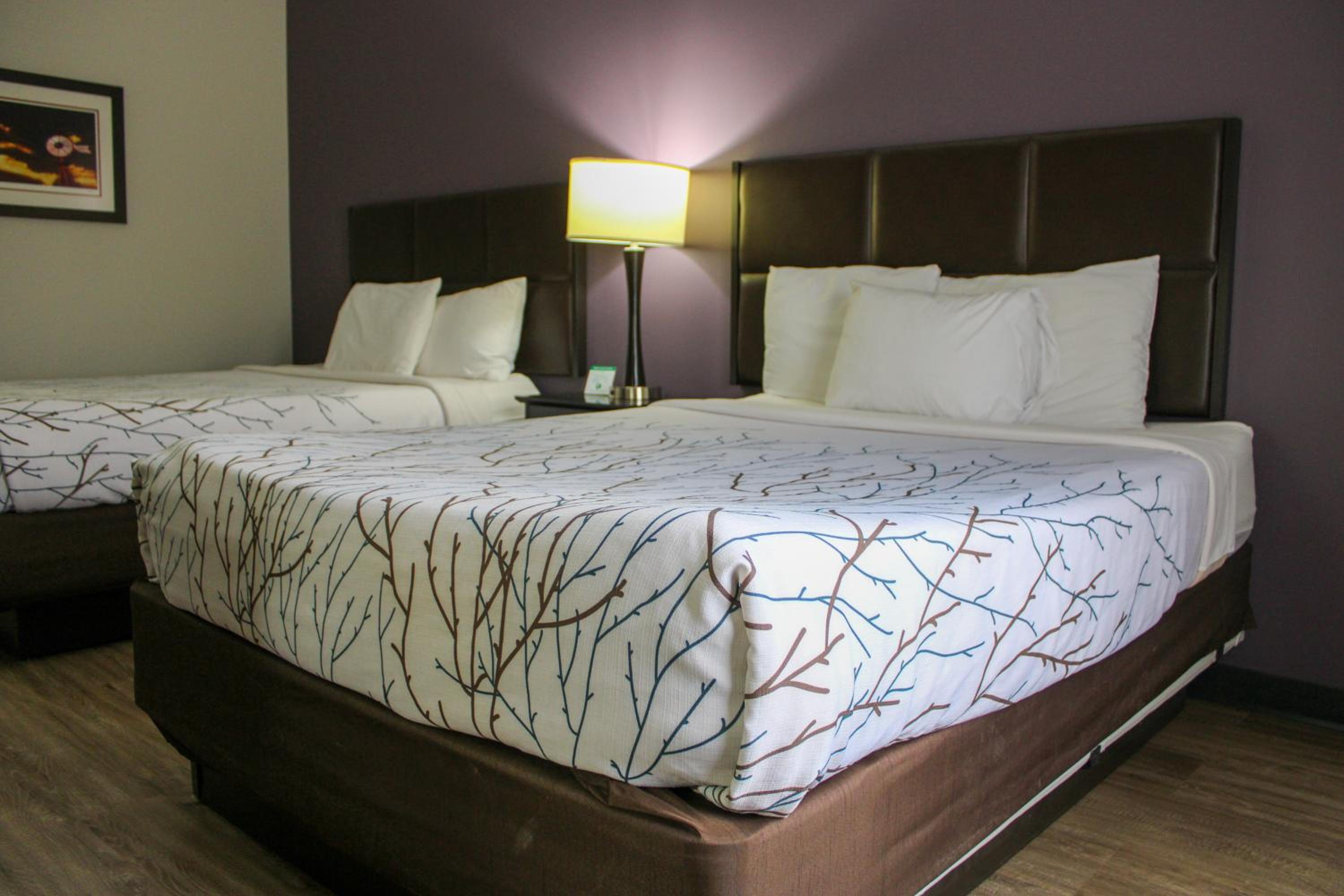 Room, 2 Queen Beds