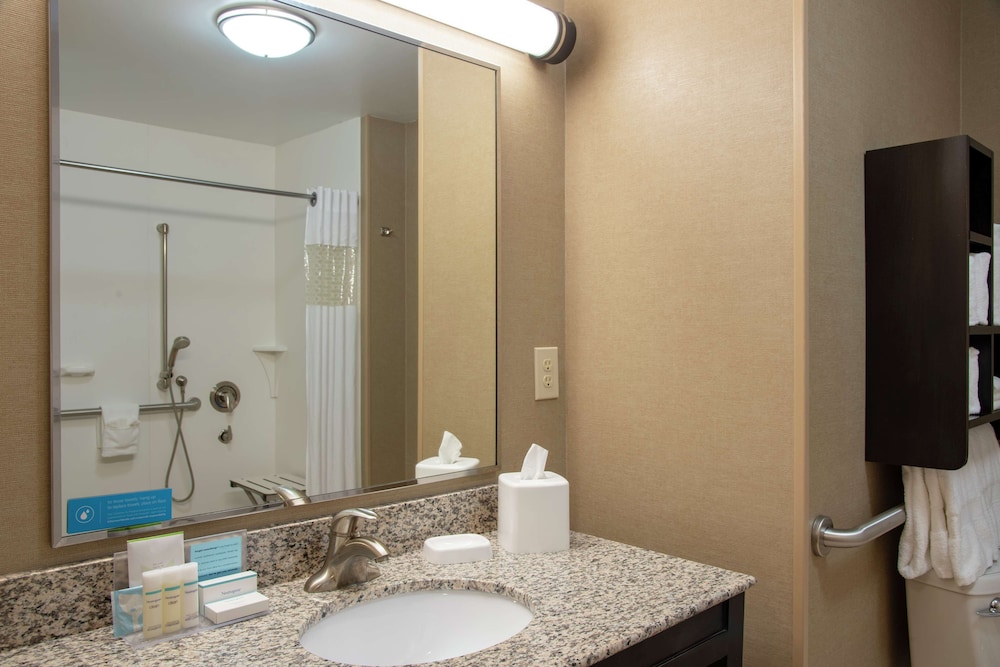 Hampton Inn And Suites Saginaw 13/45