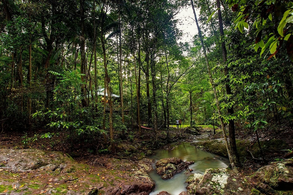NARROWS ESCAPE RAINFOREST RETREAT 37/50