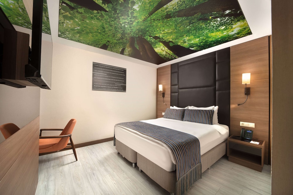 Room, Queen Bed, No Window, Accessible