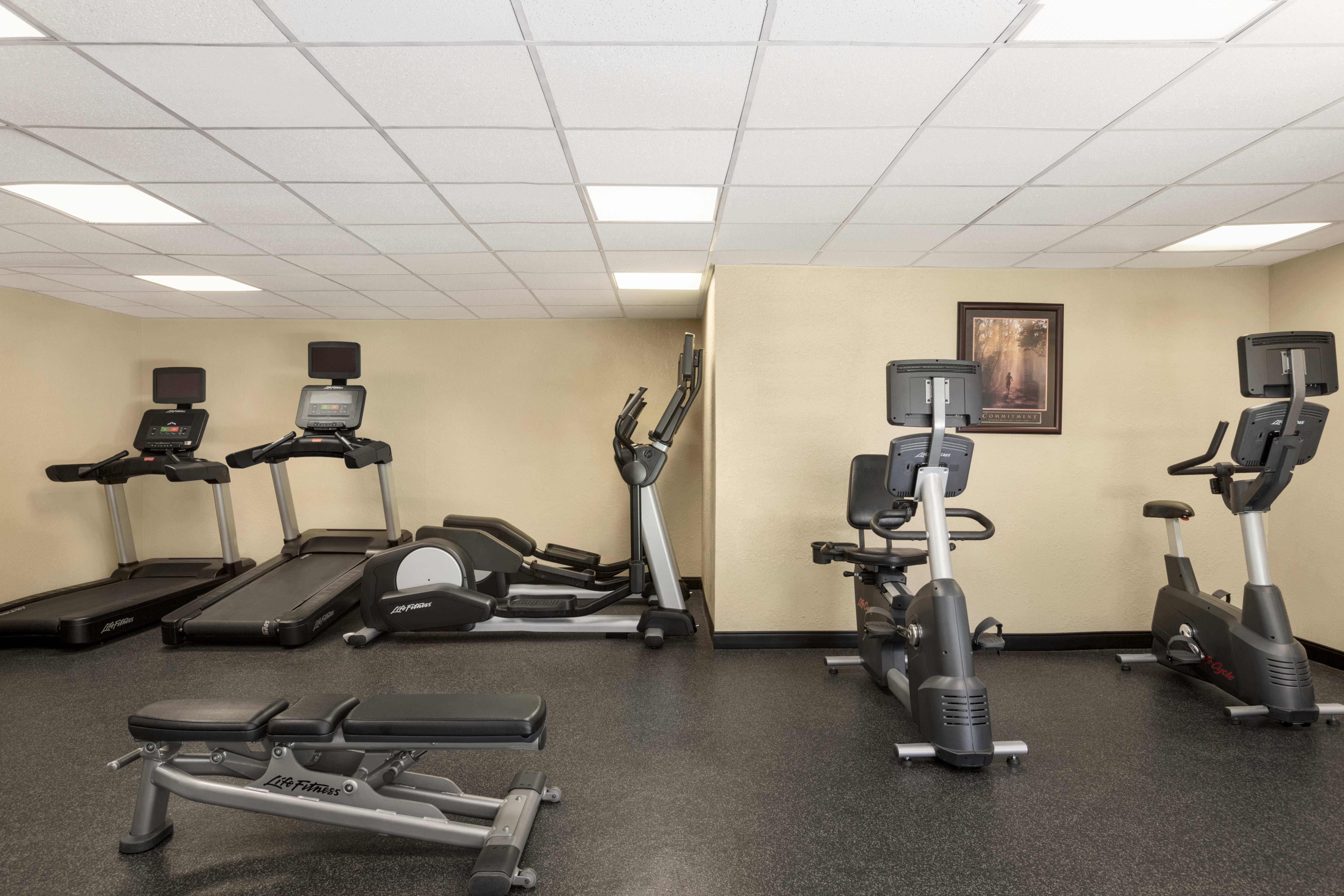 Holiday Inn Orlando International Airport 29/72