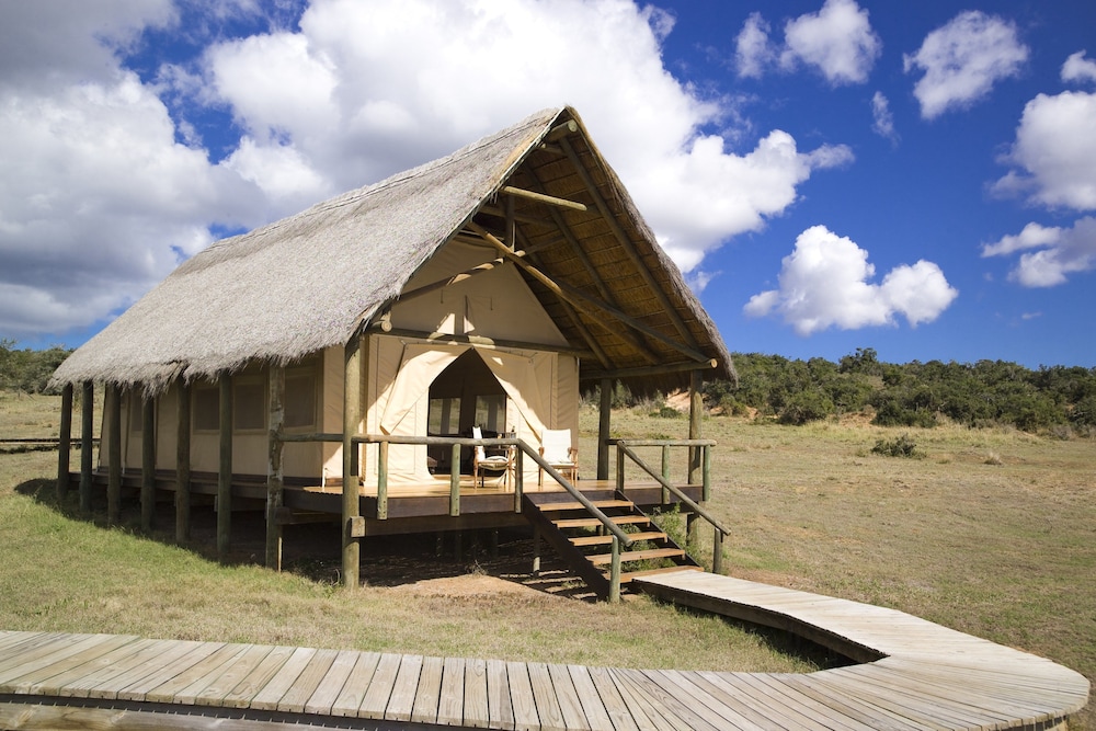 Gorah Elephant Camp 50/50