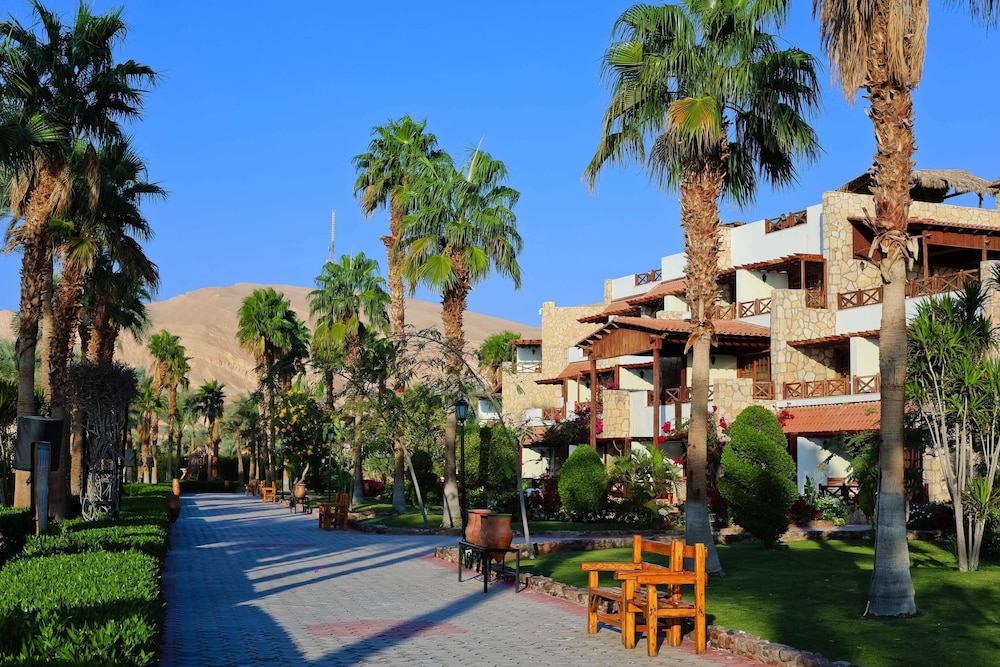 Steigenberger Hotel & Nelson Village in TABA