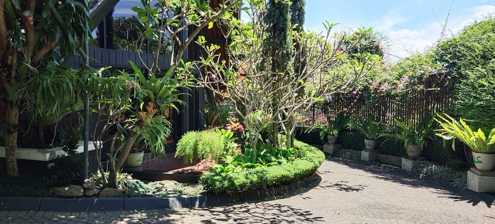 OBC Villa 36/50