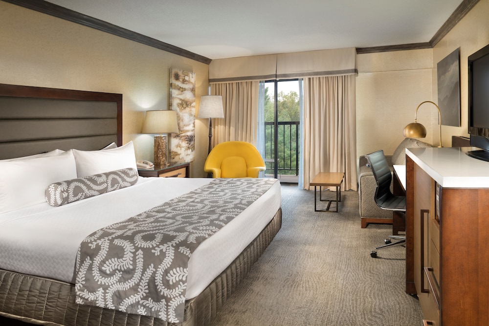 Crowne Plaza Resort Asheville 21/70