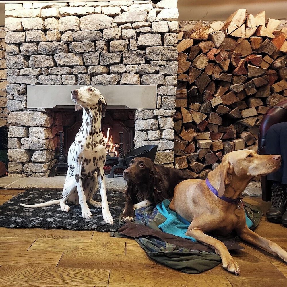 The Golden Fleece 17/33