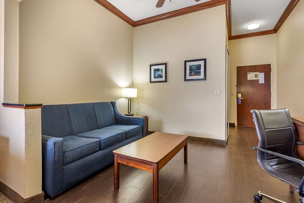 Comfort Inn Suites Statesboro 19/34