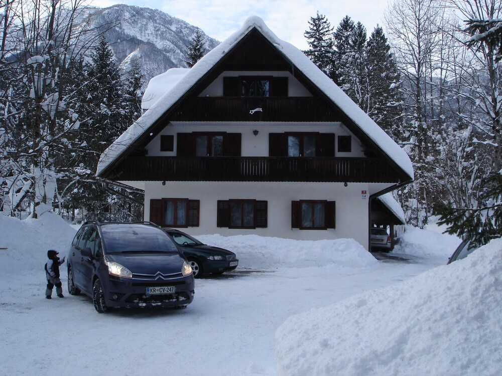 Apartmaji In Sobe Bohinjsko Jezero 23/31