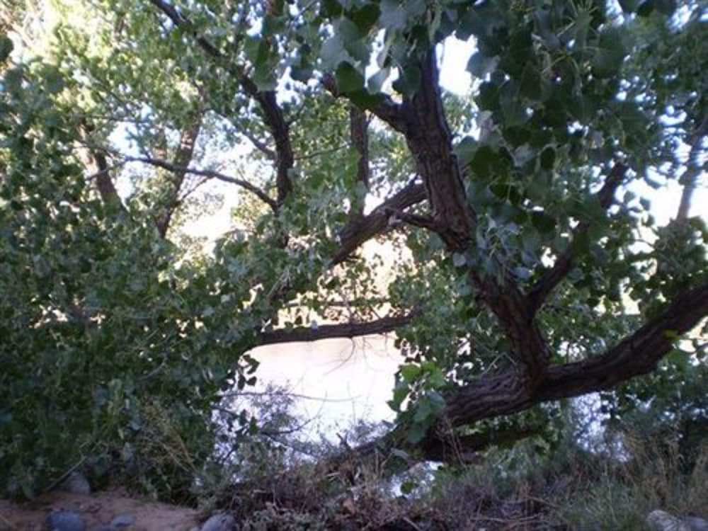 Silver River Adobe Inn 20/22