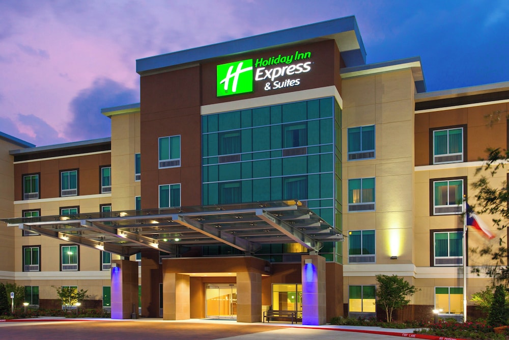 Holiday Inn Express & Suites Houston S Medical Ctr Area 1/50