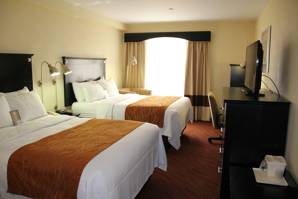 Comfort Inn & Suites LaGuardia Airport 25/64