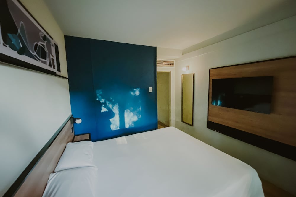 Ibis Mendoza 16/71