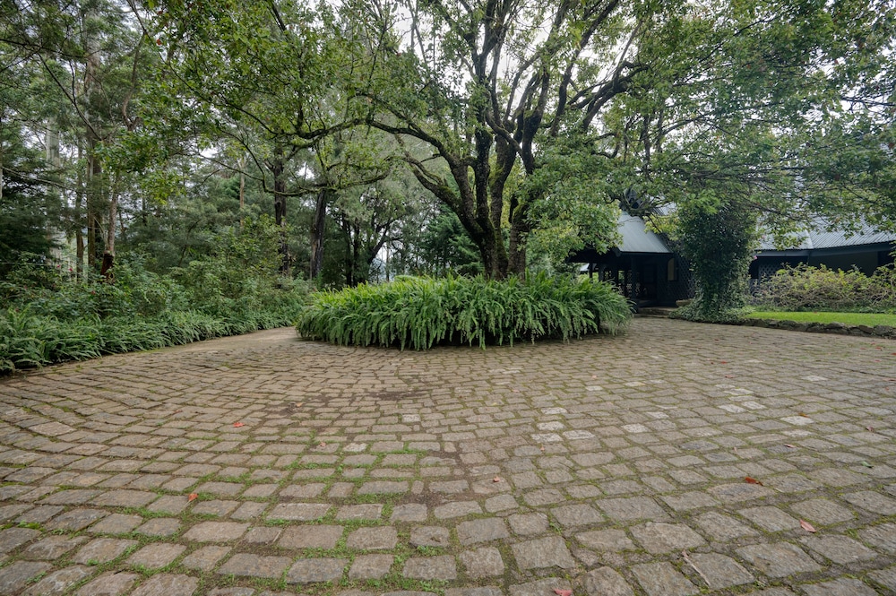 Ferncliff Bungalow 44/50