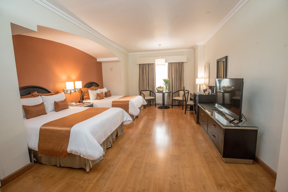 Hotel Plaza de Oro 8/43