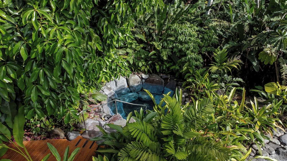 Arenal Manoa And Hot Springs 46/50