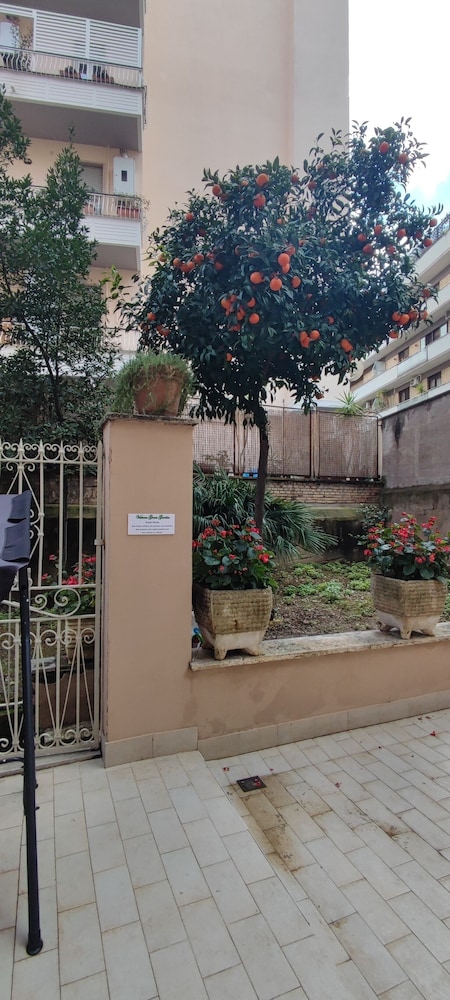 Vatican Green Garden 41/50