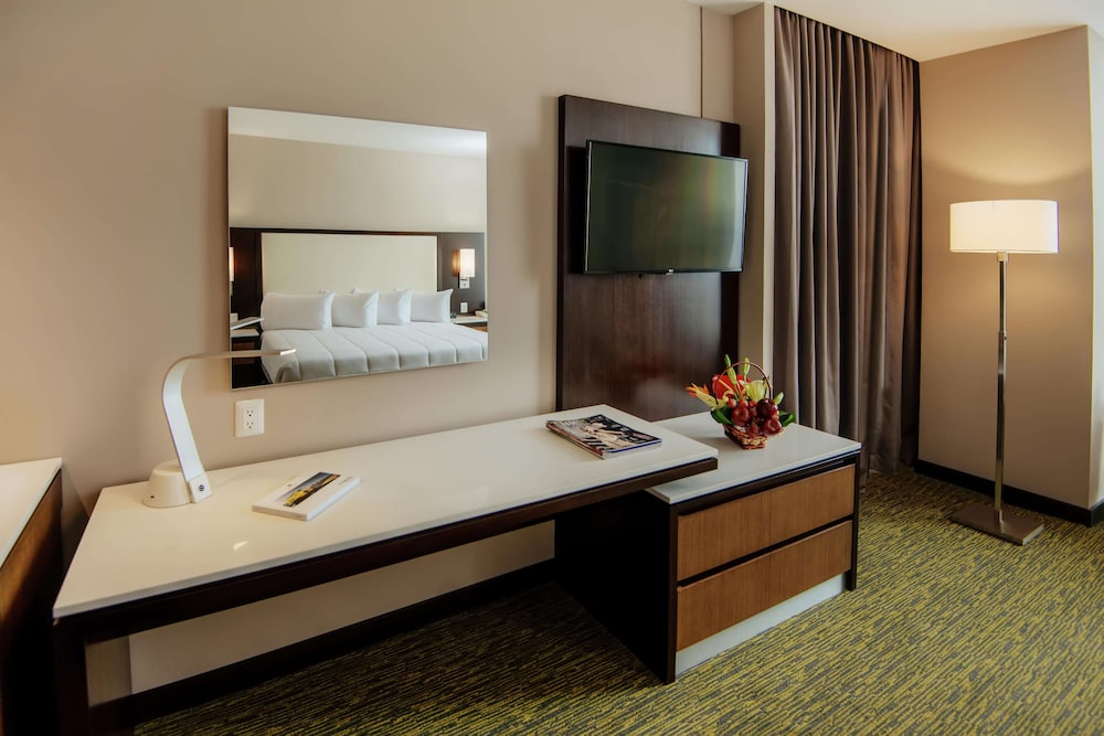 Hilton Garden Inn Puebla Angelopolis 17/50