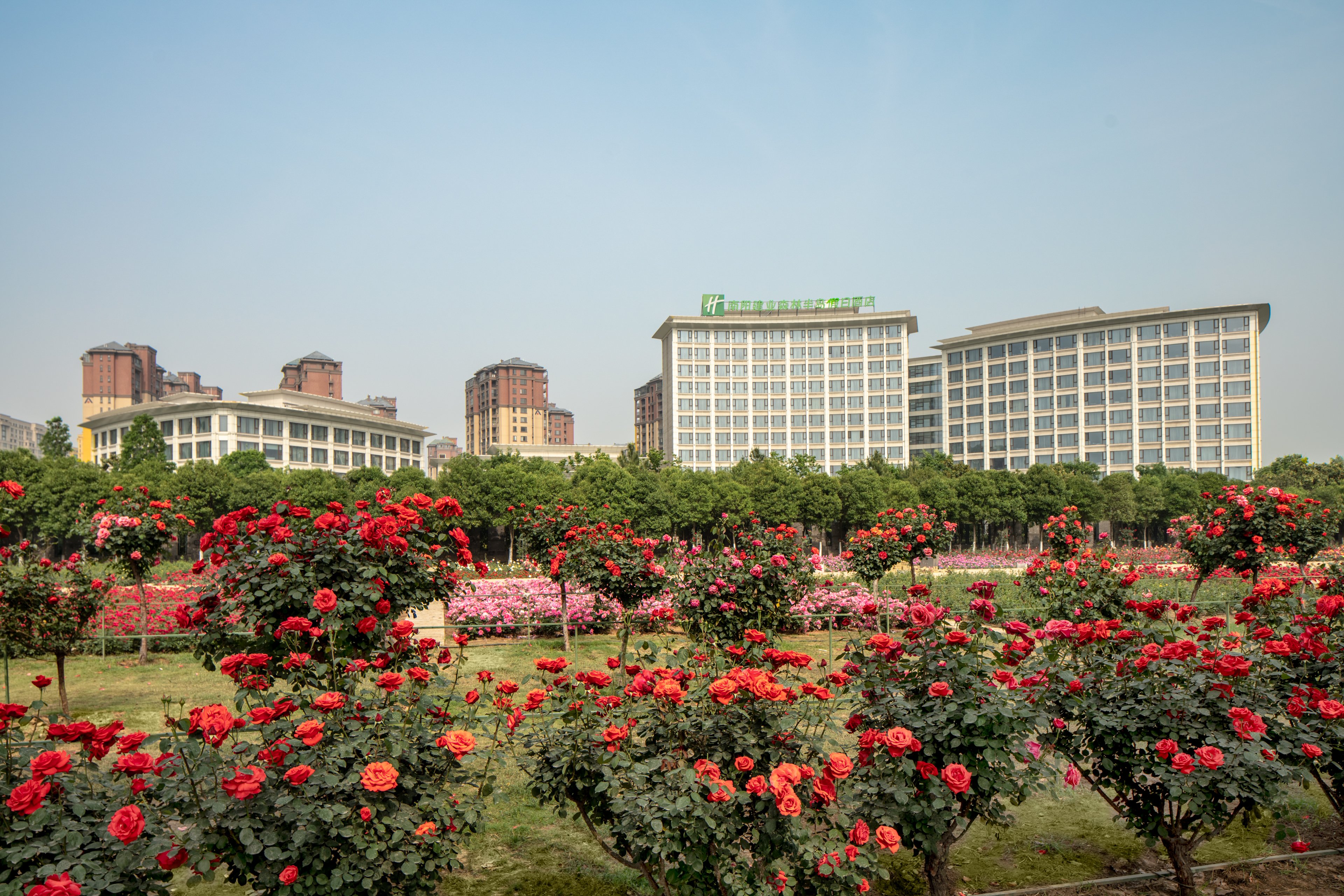 Holiday Inn Nanyang 33/38