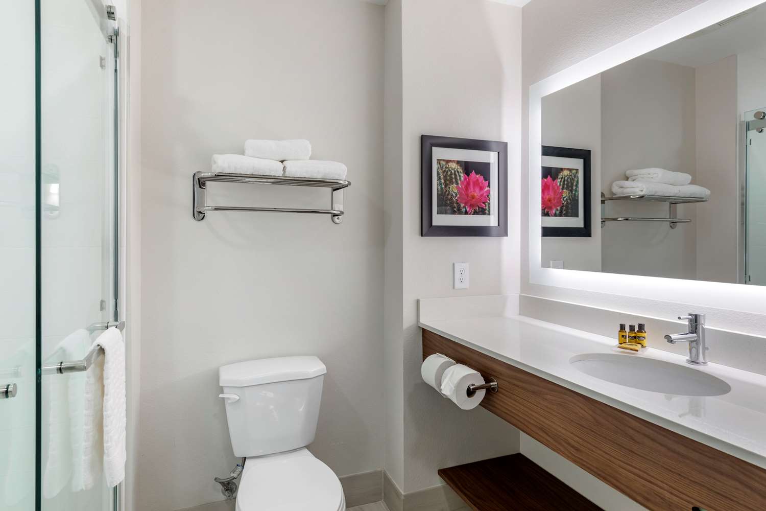 Best Western Plus Coachella Valley Inn & Suites 58/58