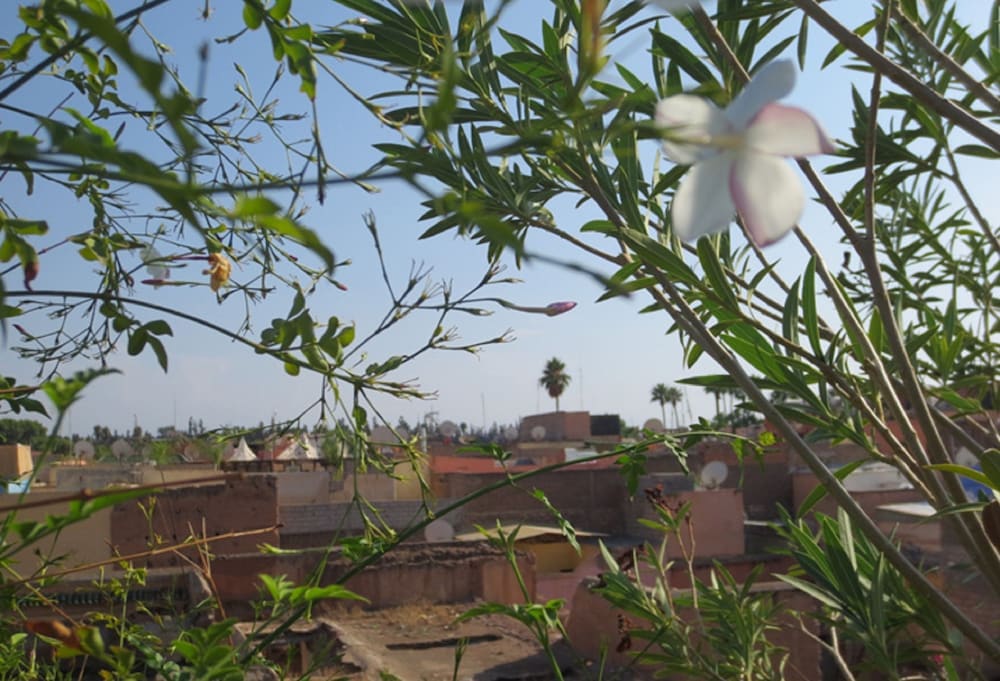 Riad Hikaya 46/50