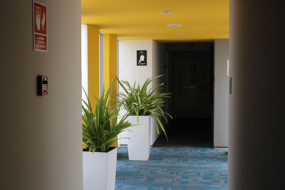 Palmetto Hotel Business San Borja 6/70
