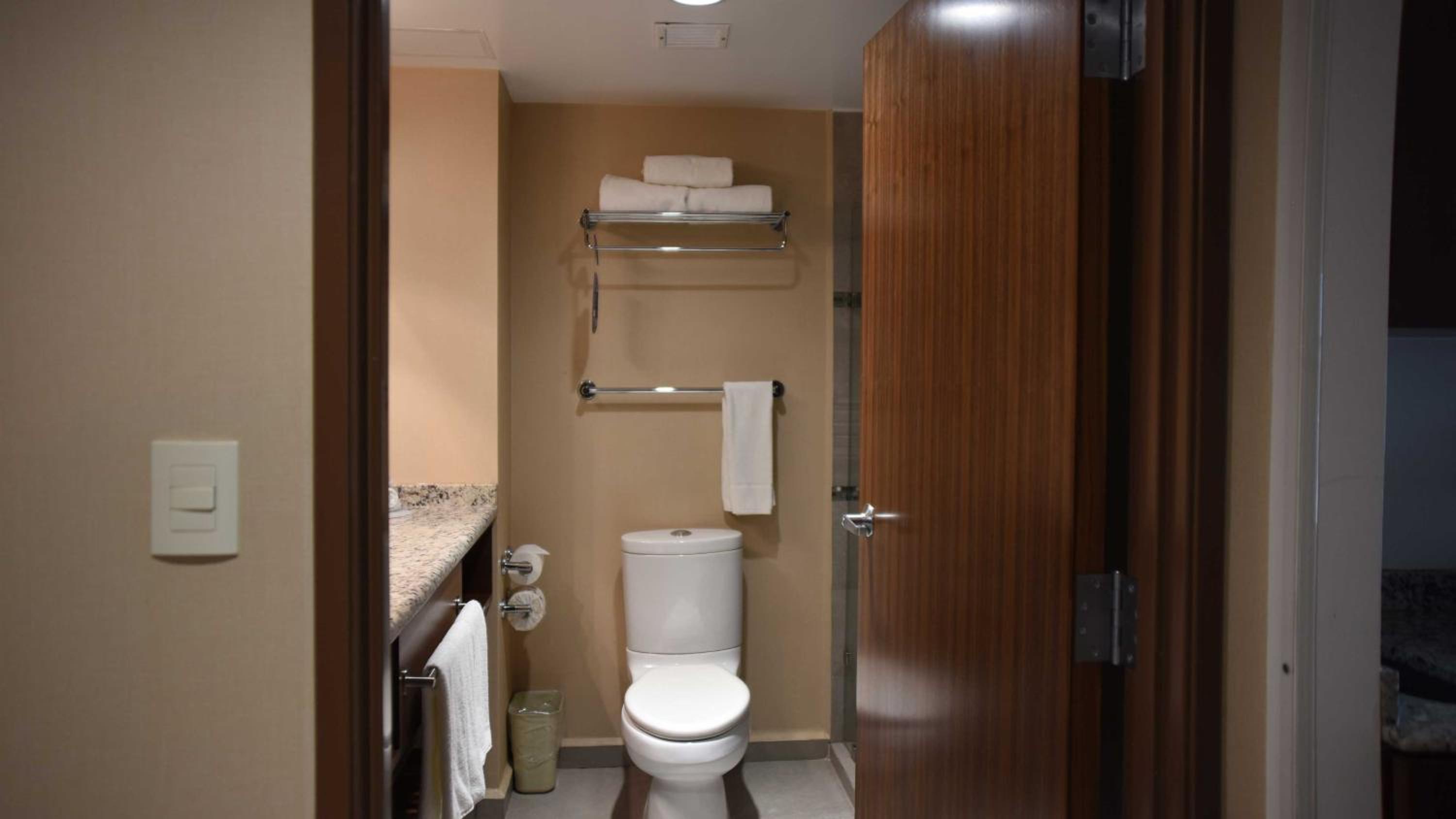 Standard, Double Bed, Holiday Inn Express and Suites Celaya 4/5