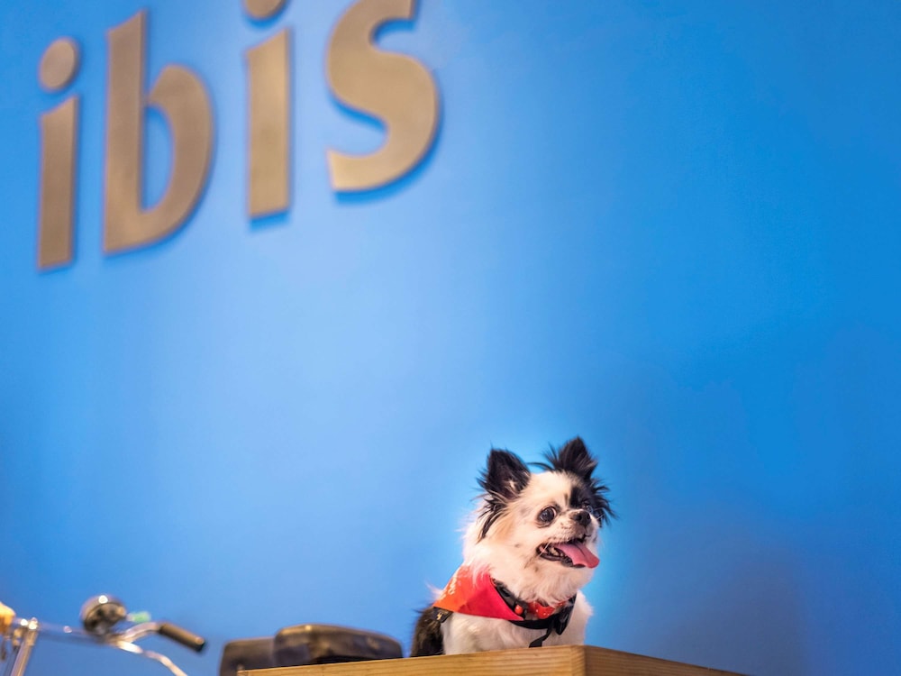 IBIS HYDERABAD HITEC CITY 68/70