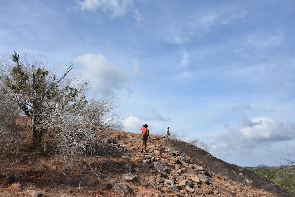 Mahoora Tented Safari Camp - Kumana 11/19