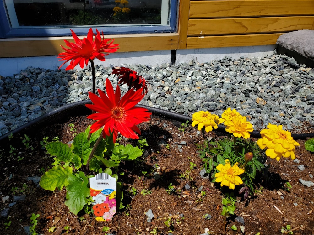 Alpine Inn Abbotsford 4/50